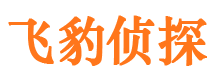 泉山市婚姻出轨调查